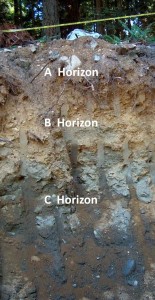 18 soil profile