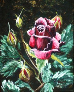 2012 09 21 Rose 8x10s