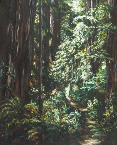 2015 06 01 Redwoods 16x20